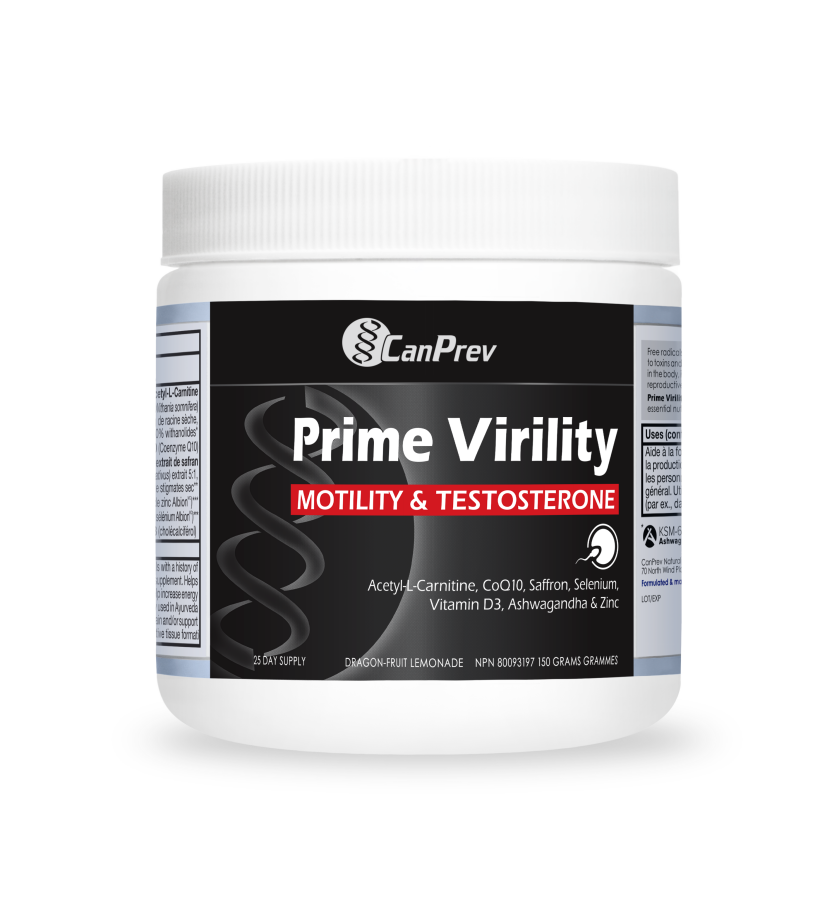 does l carnitine boost testosterone Are L Carnitine and L Carnosine the Same? main image 0