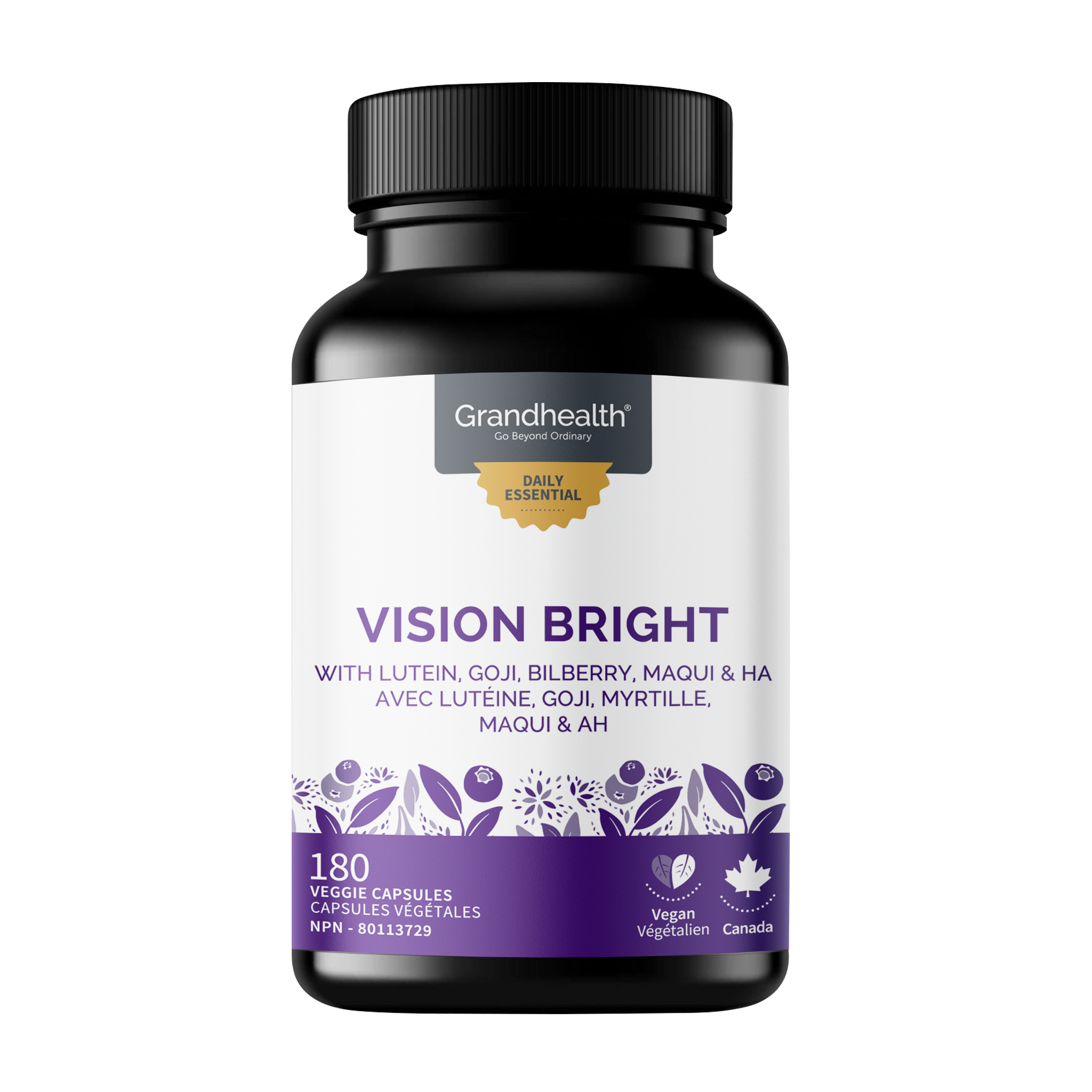 Vision_Bright.png?v=1734723809
