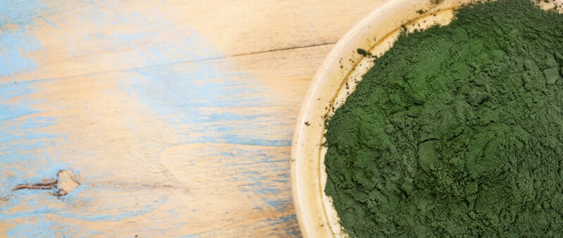 最營養的超級食物 - 小兵立大功的藍綠藻