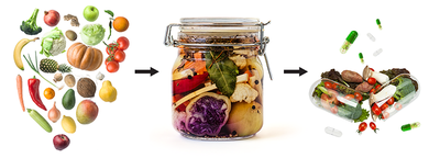 腸道健康秘密：風靡全球的發酵益生菌和全食物維生素