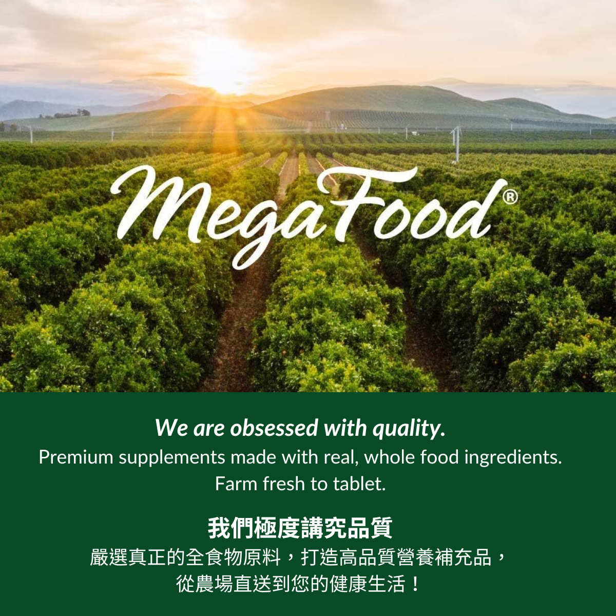 Nehelith MegaFood Magnesium – Nature's Essence