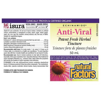 Natural Factors Echinamide Anti-Viral Tincture-Natural Factors-Nature‘s Essence