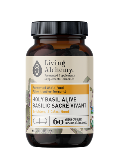 Living Alchemy Holy Basil Alive