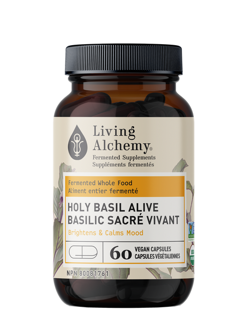 Living Alchemy Holy Basil Alive