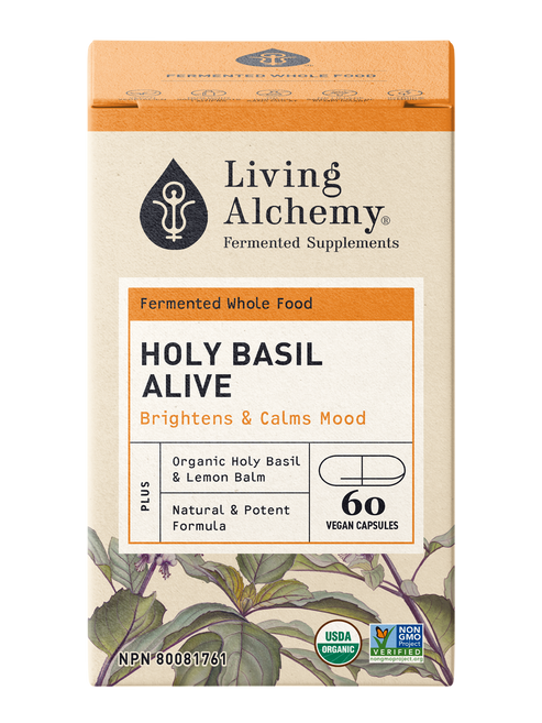 Living Alchemy Holy Basil Alive