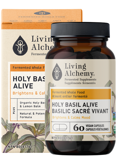 Living Alchemy Holy Basil Alive