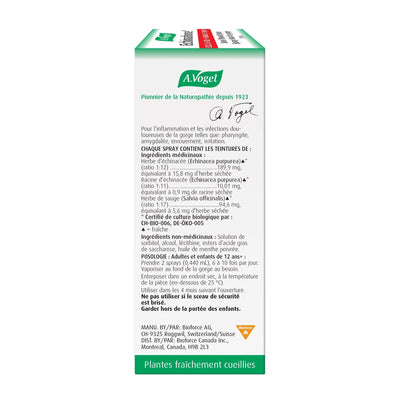 A. Vogel Echinaforce Sore Throat Spray