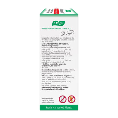 A. Vogel Echinaforce Sore Throat Spray