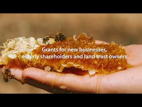 Nehelith Flora Manuka Honey UMF10+ – Nature's Essence